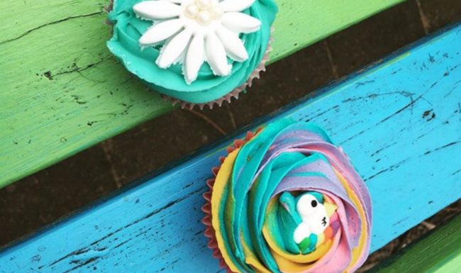 RSPCA Tasmania for the prevention of animal cruelty - Cupcake Day