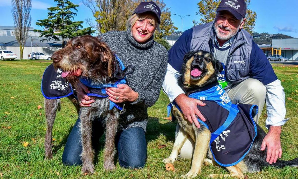 Source: The Examiner - Fundraising a hit for virtual Million Paws Walk