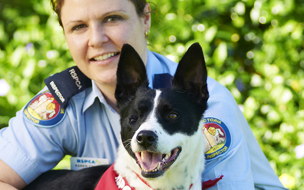 RSPCA Tasmania for the prevention of animal cruelty