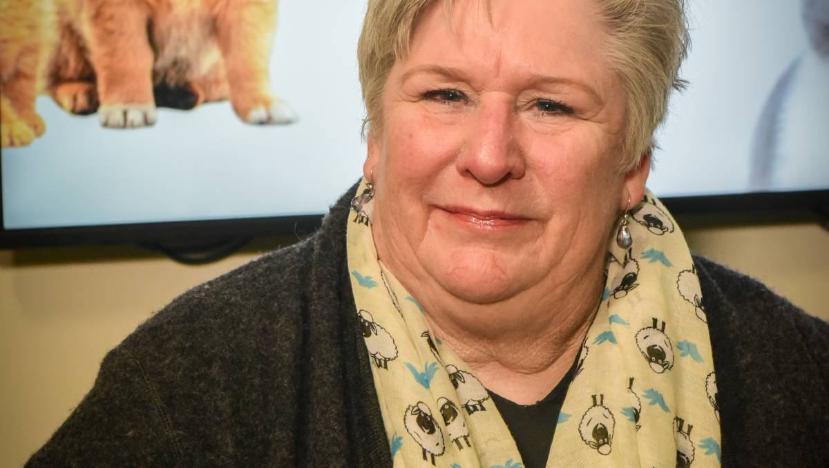 RSPCA Tasmania will be lobbying for better protections for dogs now the