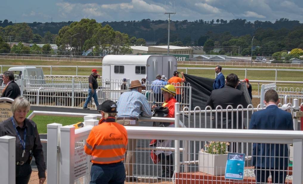 Tasracing staff tend to Douglas after the gelding crashed into the outside barrier during race three on the Devonport Cup program. Picture: Simon Sturzaker.