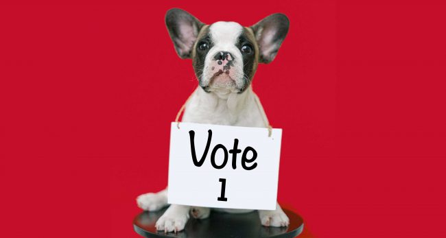 RSPCA Tasmania State Election Priorities 2021