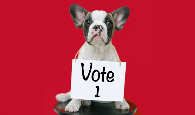 RSPCA Tasmania State Election Priorities 2021