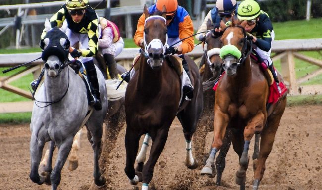 Submission: Review into the Racing Regulation Act 2004