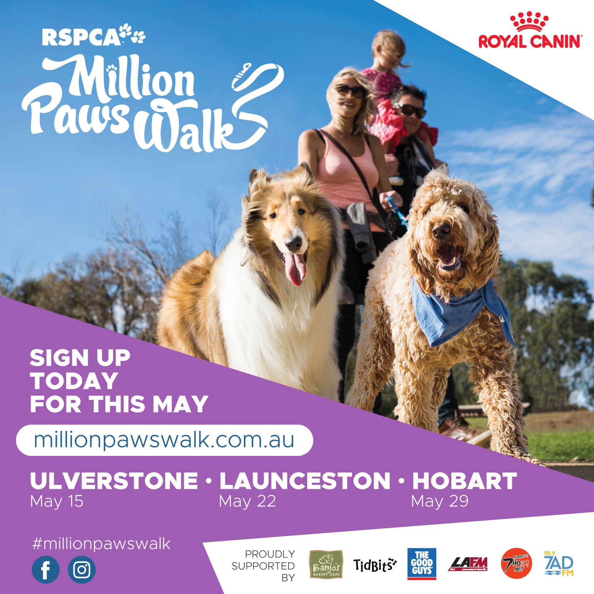 Million Paws Walk 2022