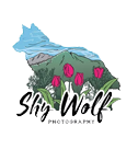 Shy Wolf Photography