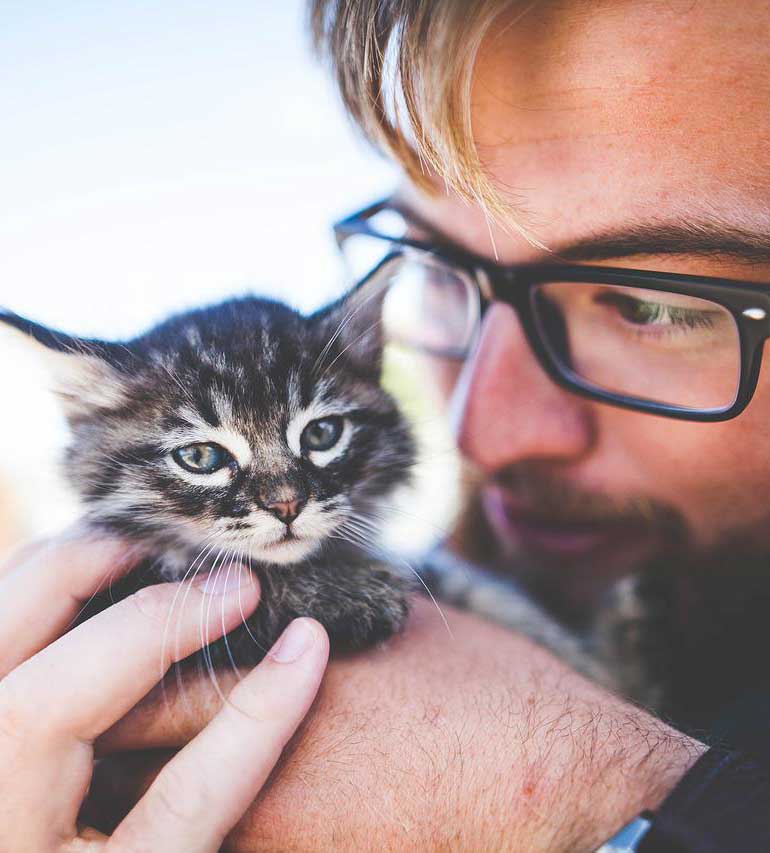 Surrendering your pet Surrendering your pet