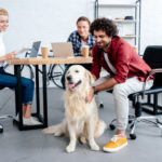 Bringing your dog to work beats ruff-day blues