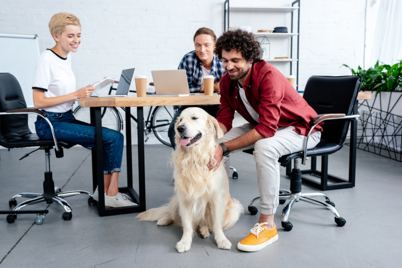 Bringing your dog to work beats ruff-day blues