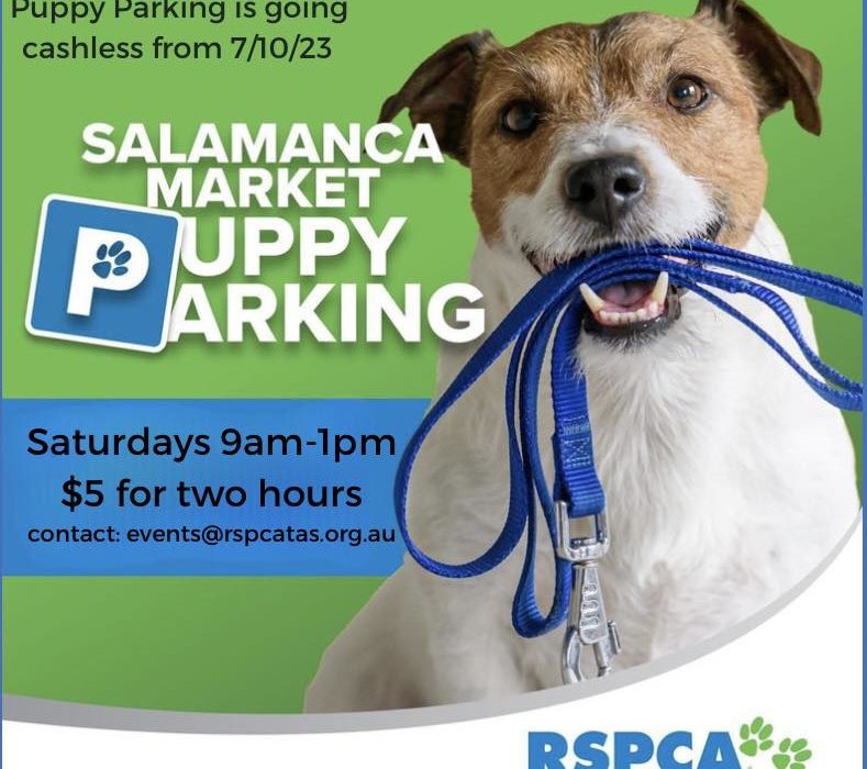 Salamanca Puppy Parking