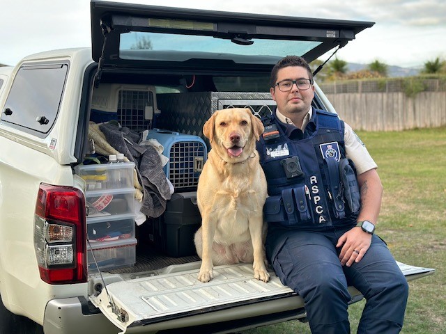 Jayden Stirrup- INspector Manager