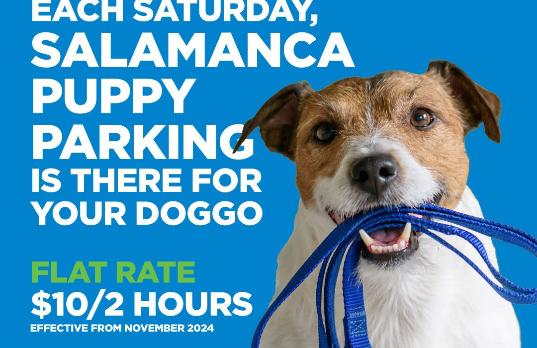 Salamanca Puppy Parking