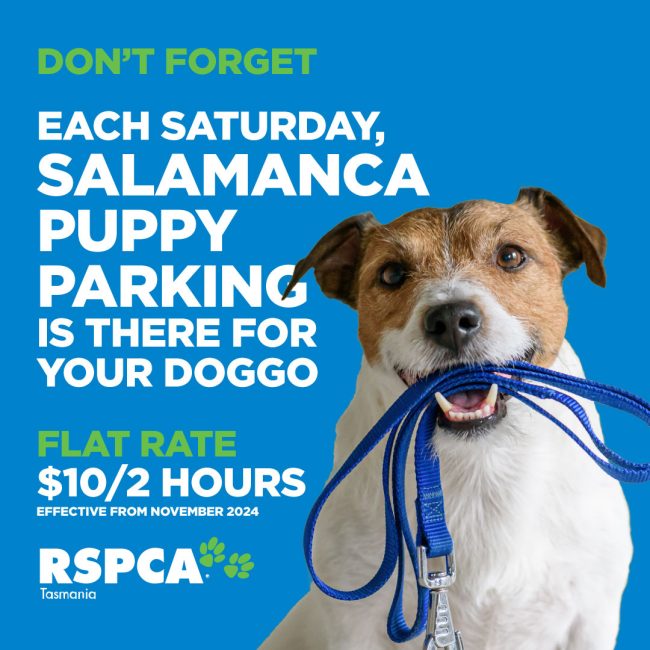 Salamanca Puppy Parking