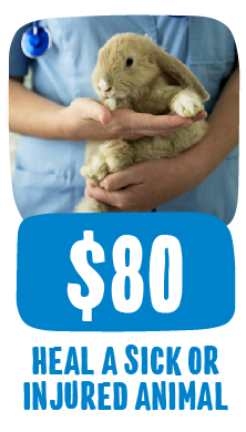 GTGTH25_PricePoints_80