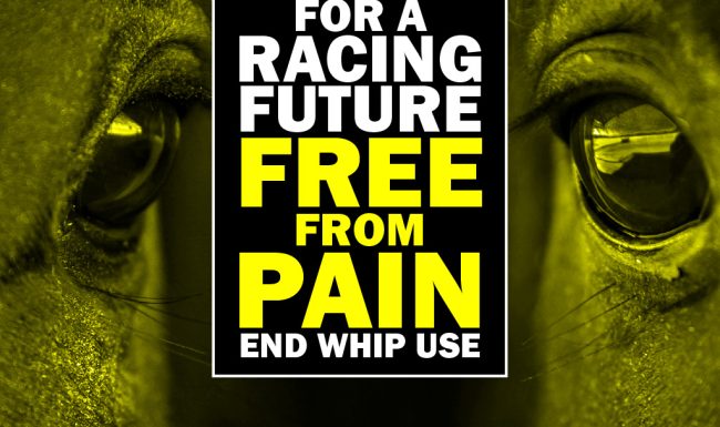 We Stand For A Racing Future Free From Pain - End While Use