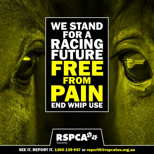We Stand For A Racing Future Free From Pain - End While Use