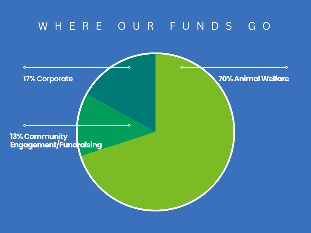 Green Simple Budget Pie Chart Graph