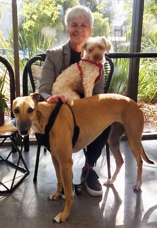 Kimba-Goldie-and-Andrea-Feb-26