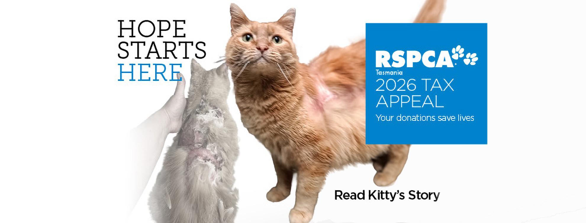 Hope starts here – read Kitty’s story Hope starts here - read Kitty's story